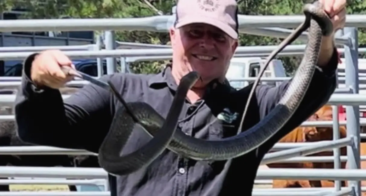 72nd Koorawatha Show on this weekend