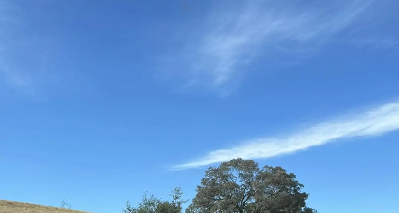 Boys to the Bush are back on their bikes