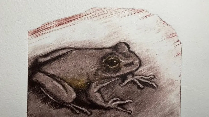 Exhibition with a focus on local vulnerable flora and fauna