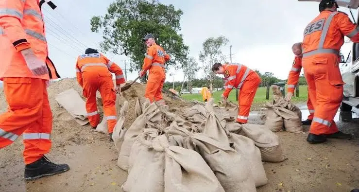 Insurers to visit Harden again