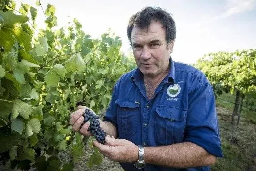 HANDING OVER: Brian Mullany is passing over the role of president of the Hilltops Vineyards Association. Photo: File.