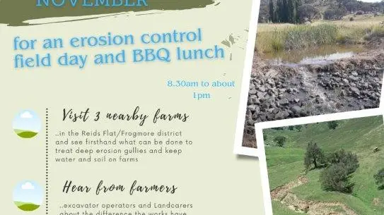 Free erosion-control field morning