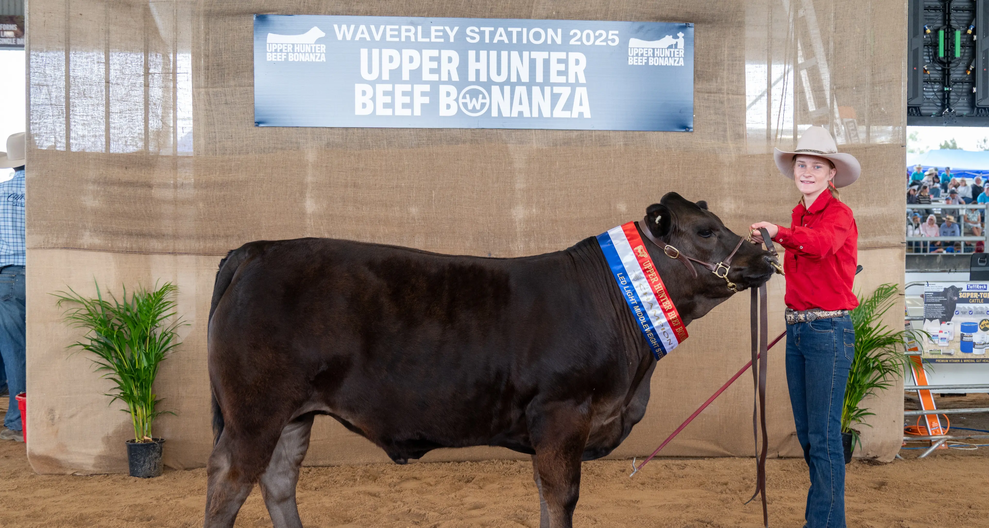 Big wins at the Upper Hunter Beef Bonanza 2025
