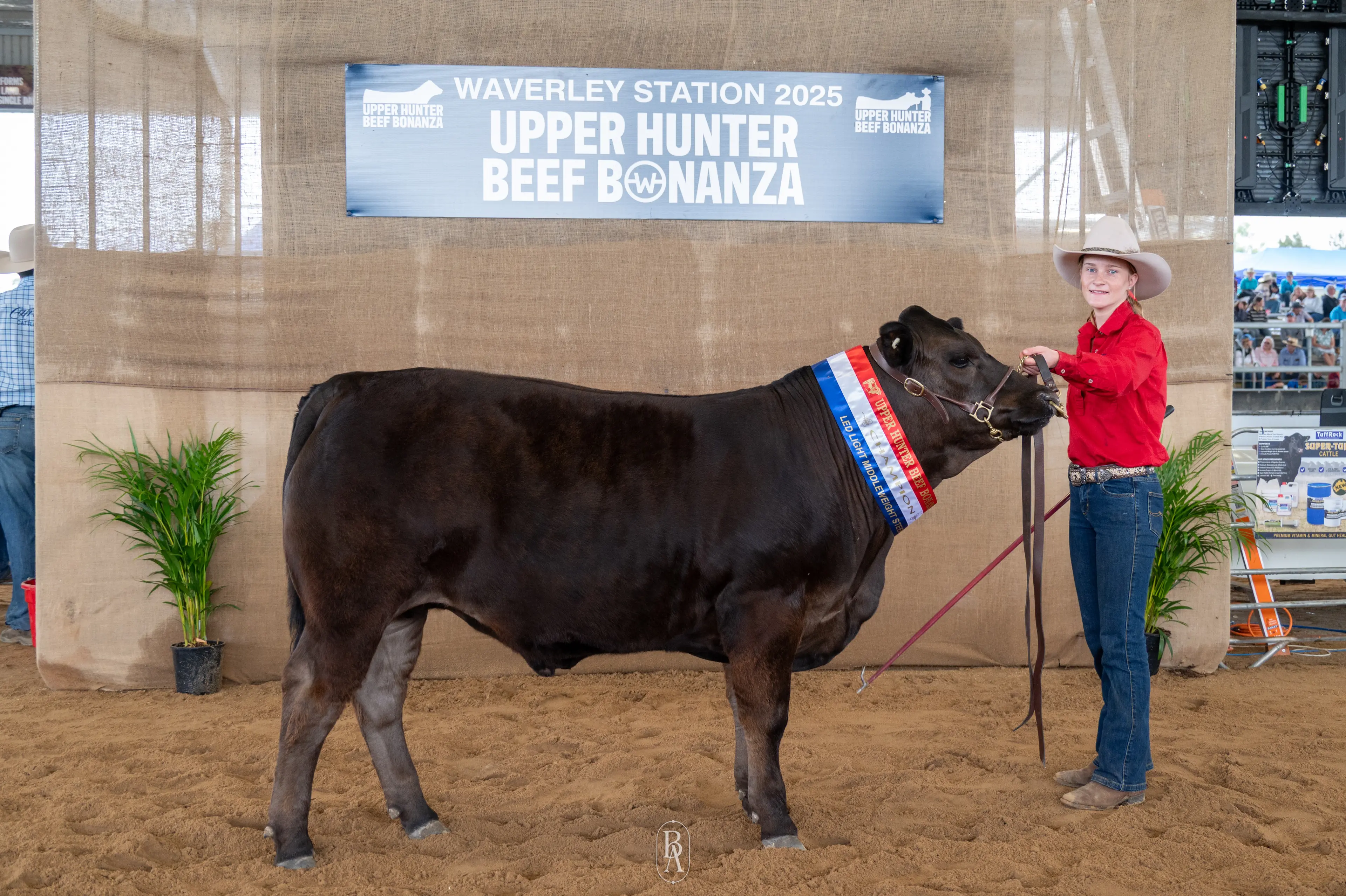 Big wins at the Upper Hunter Beef Bonanza 2025