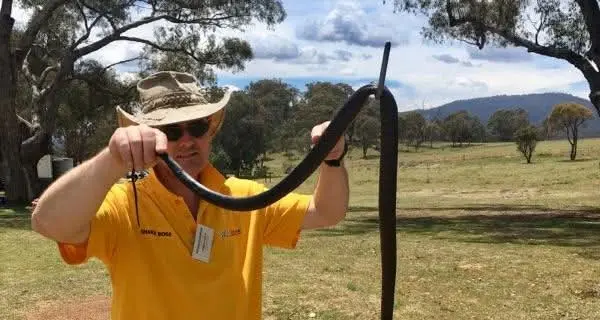 Warmer weather means snakes are on the move