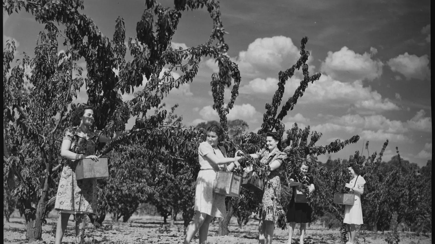 Celebrating 75 years of the National Cherry Festival