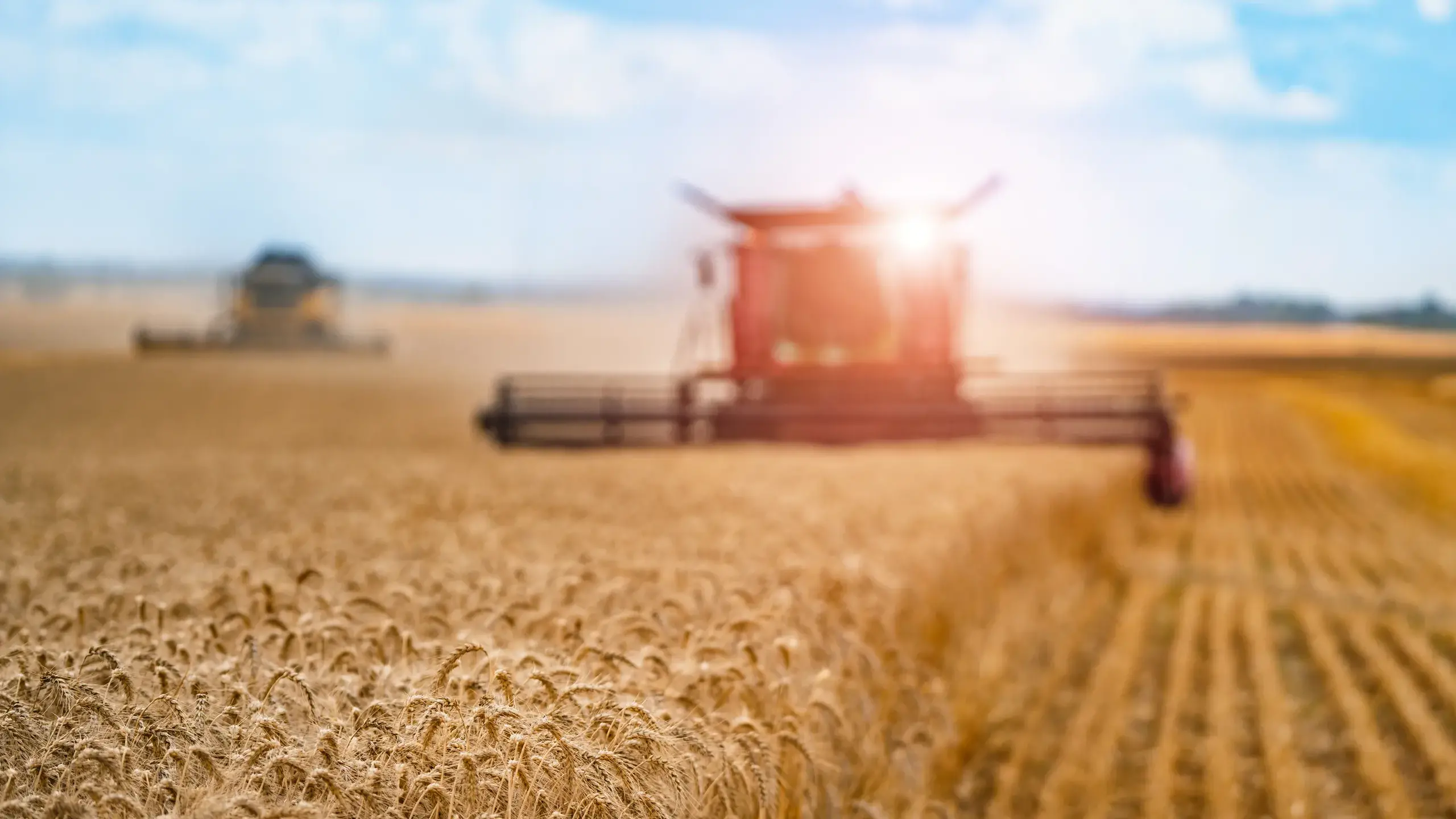 Farmers urged to prepare as summer storms loom