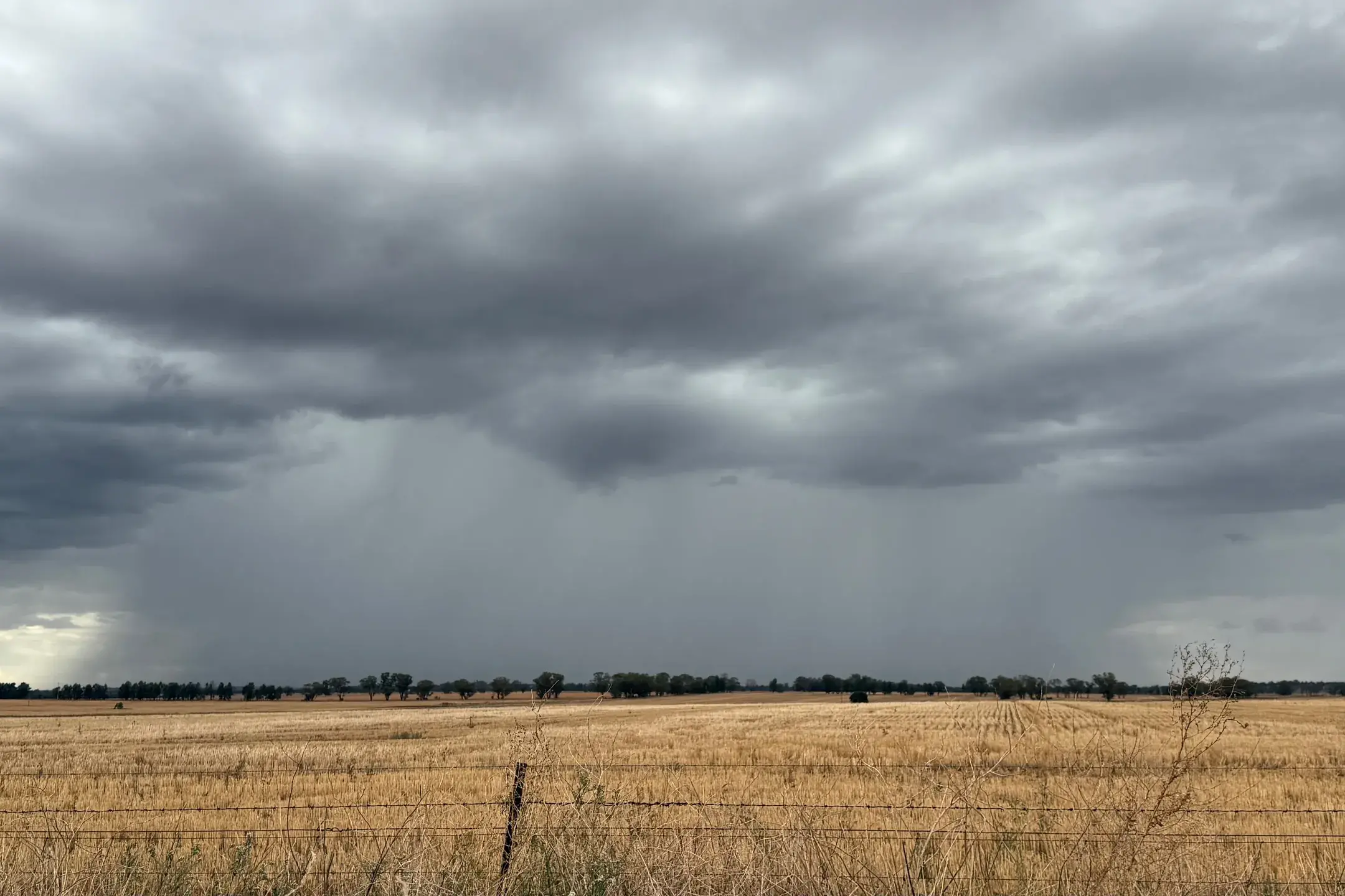 <p>Rainfall in the Central West and Hilltops towns of Forbes, Parkes, Cowra, Grenfell and Young during 2025 was recorded between 109mm to 180mm below their long-term yearly averages. PHOTO: Renee Powell</p>\\n