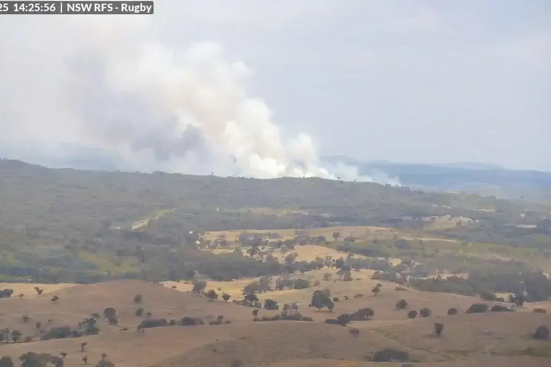 <p>The Bevandale fire on Rugby Road as seen from the NSW Rural Fire Service tower. PHOTO: NSW Rural Fire Service</p>\\n