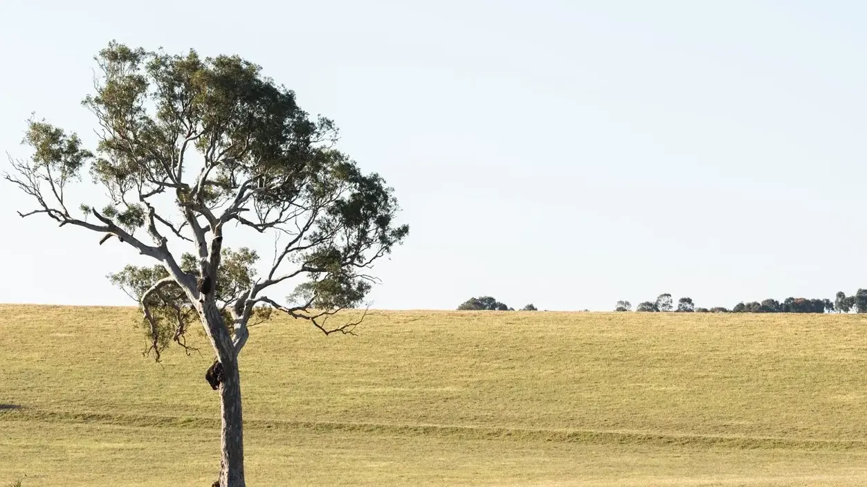 Rail Trail feedback sought by Council