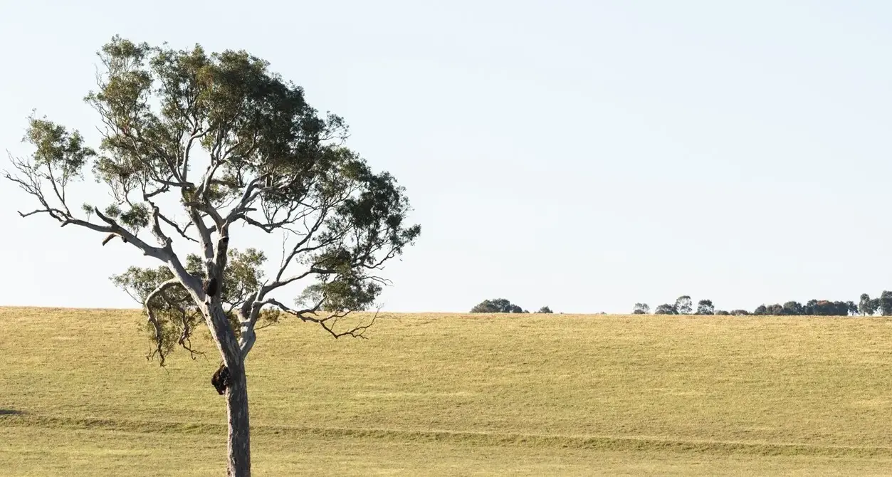 Rail Trail feedback sought by Council