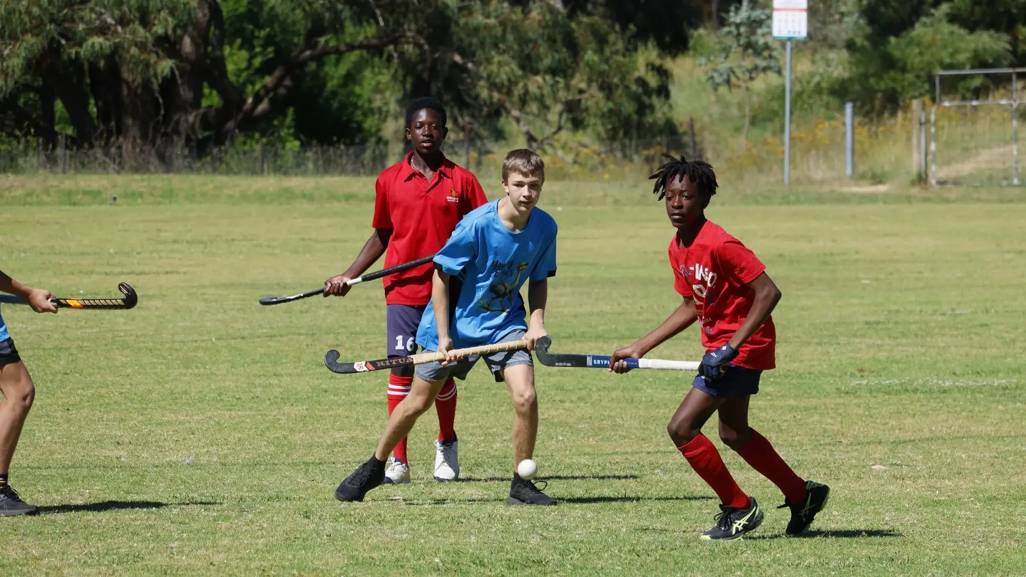 Summer Twilight Hockey returns to Young