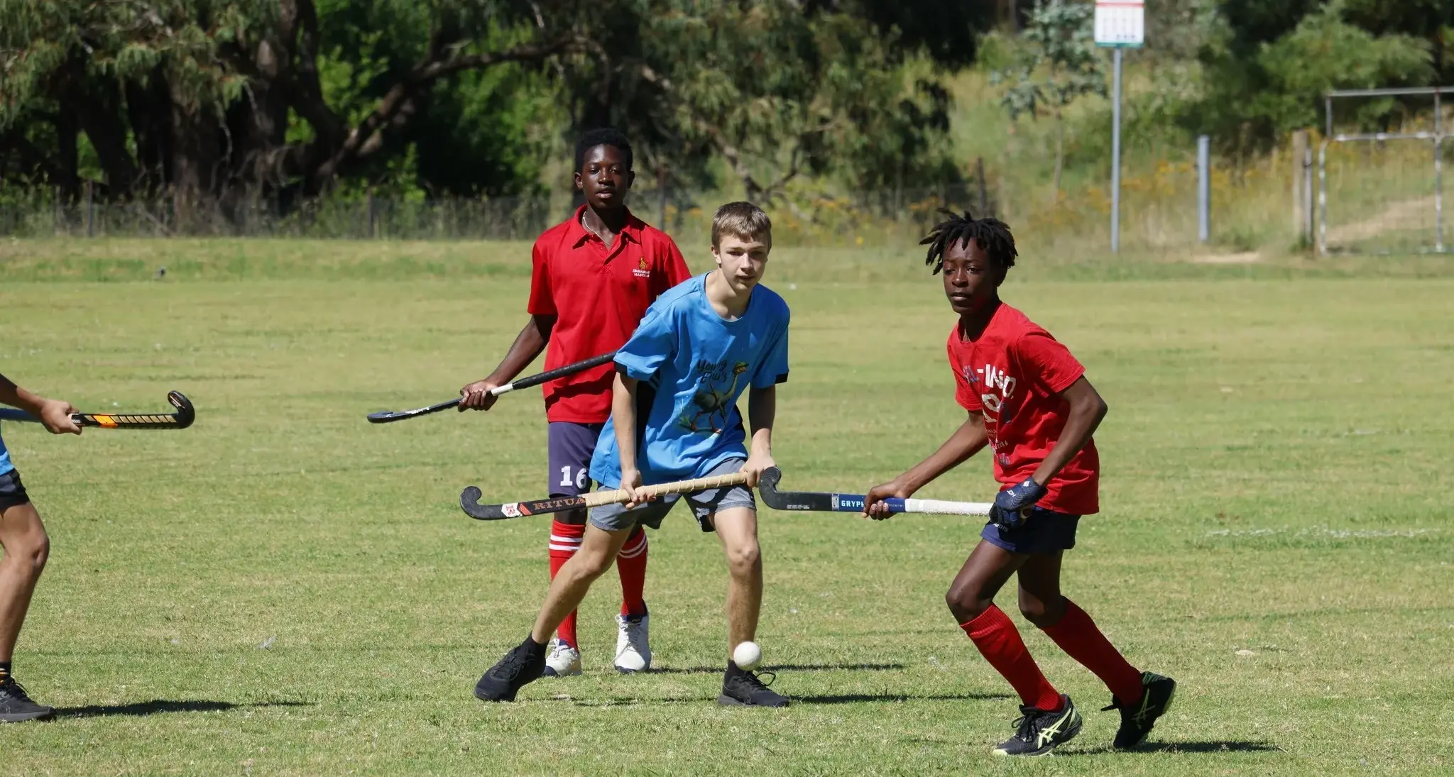 Summer Twilight Hockey returns to Young