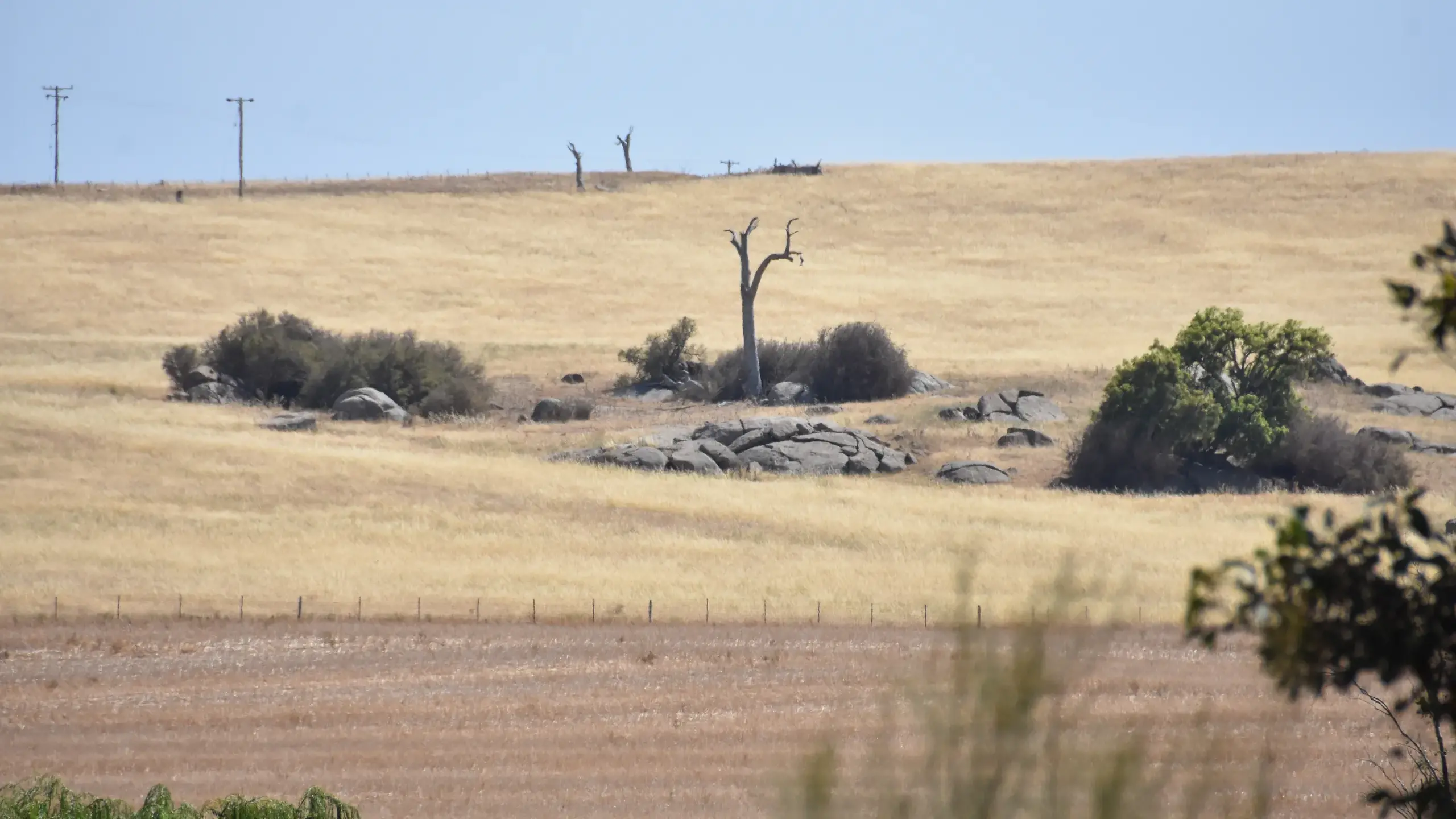 NSW farmers receive support to lower emissions