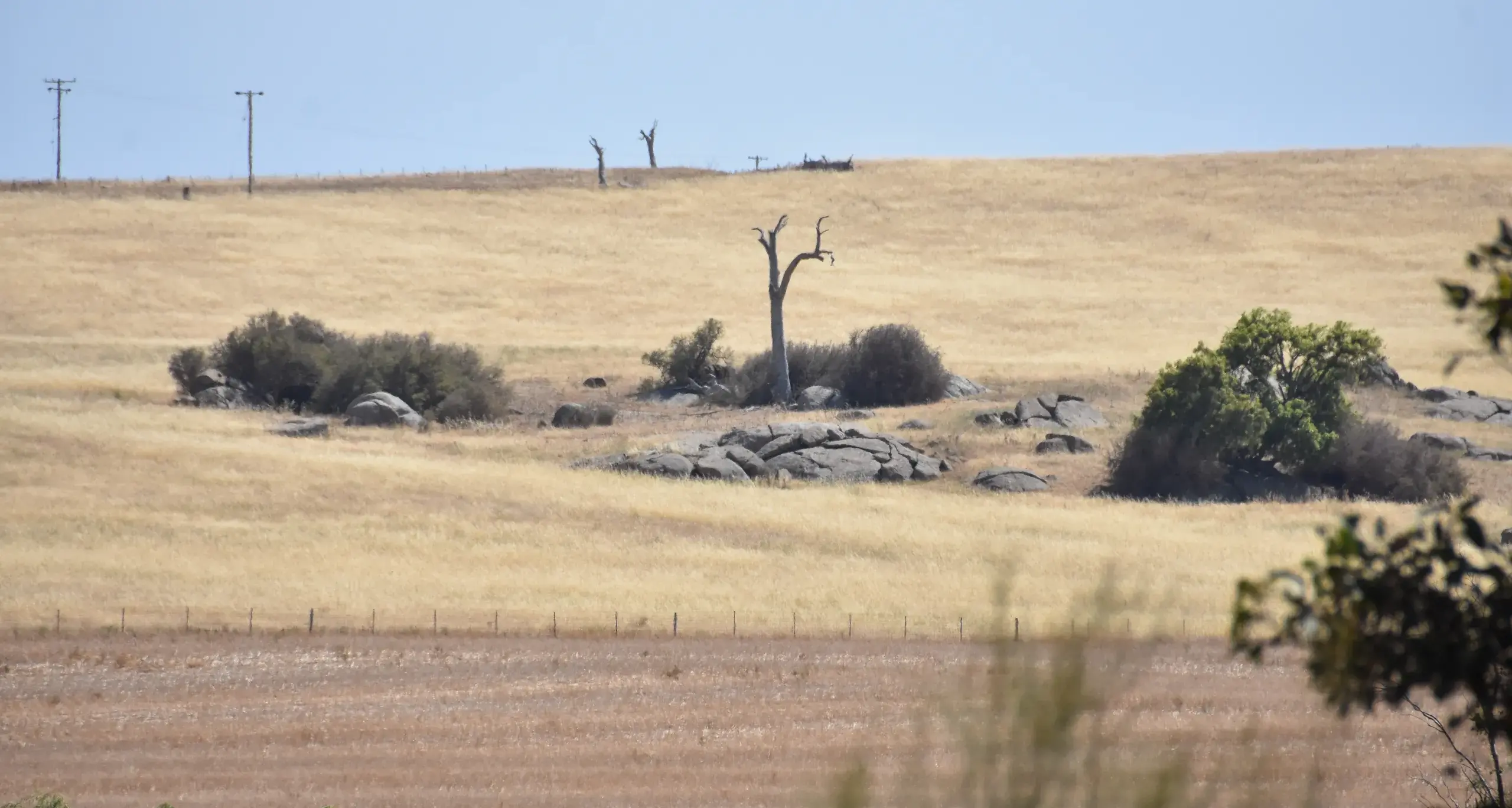 NSW farmers receive support to lower emissions