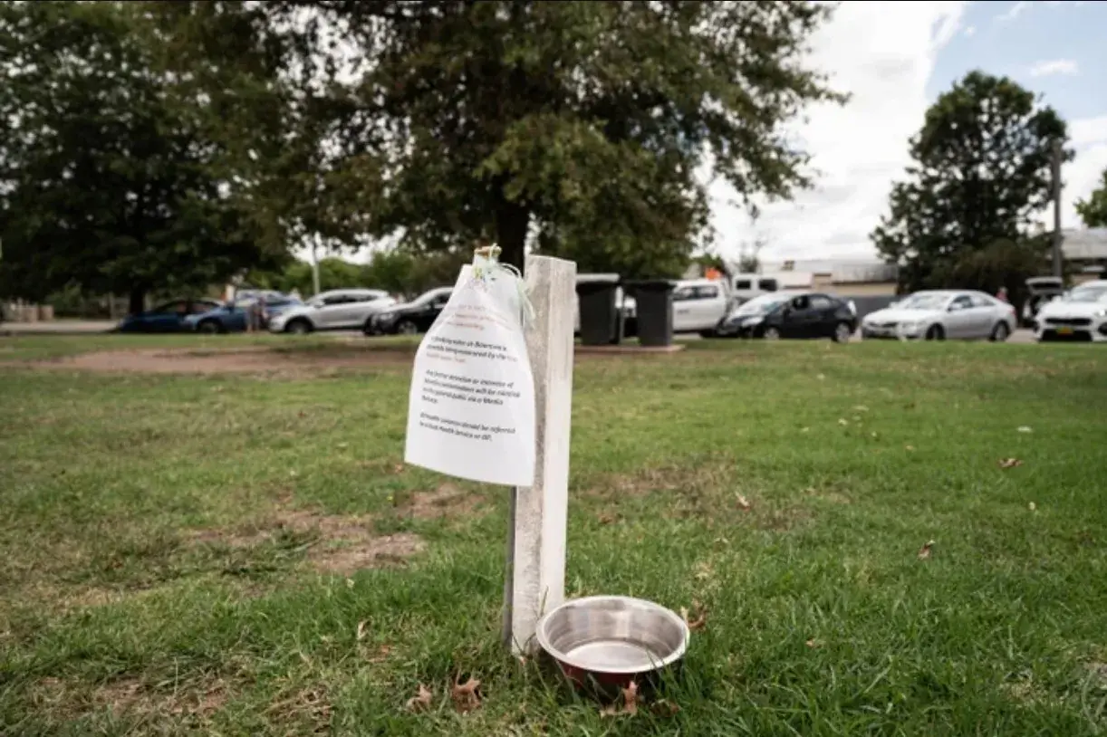 Pipeline design update to be presented in Council