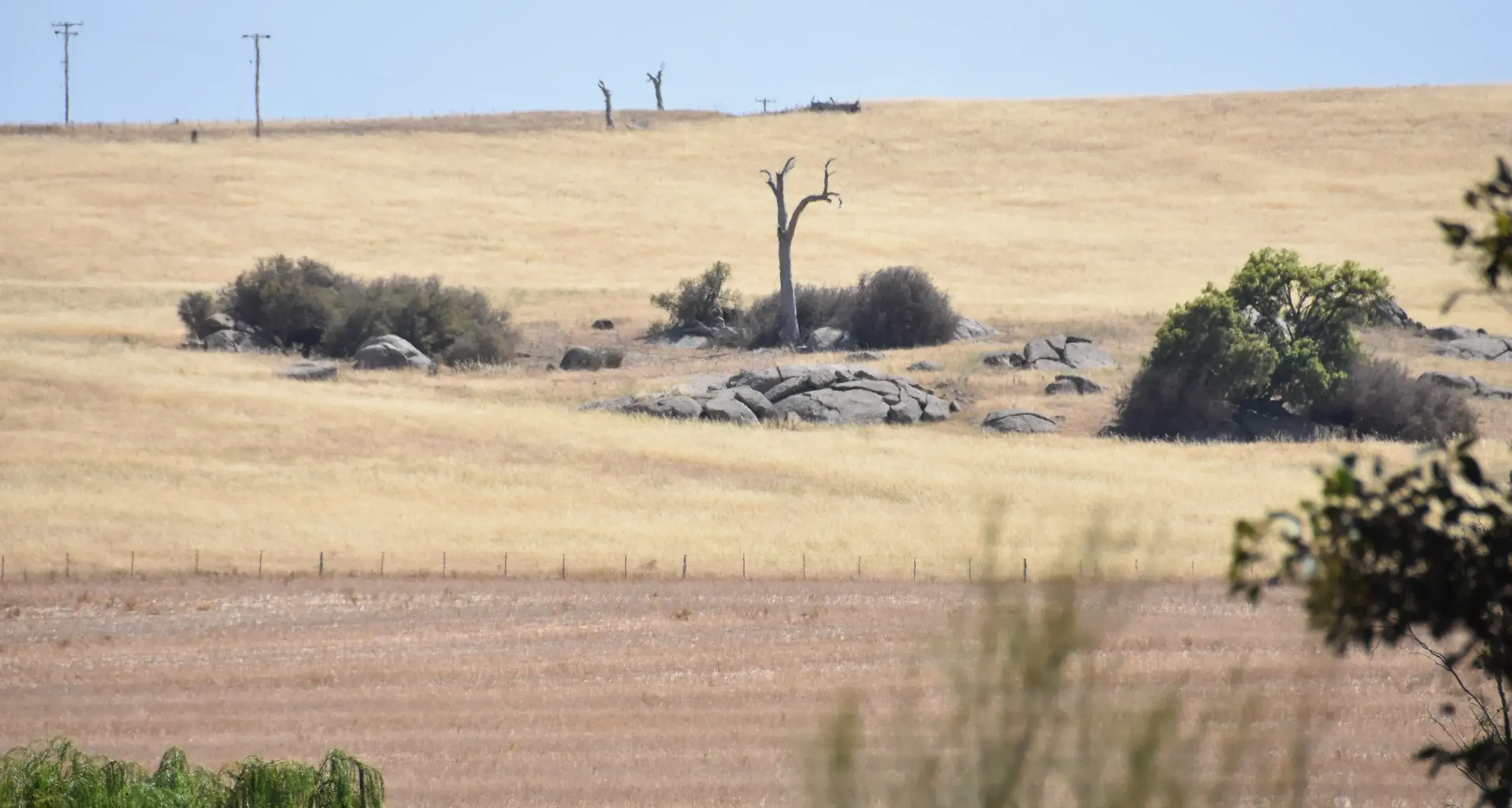 Further drought support announced