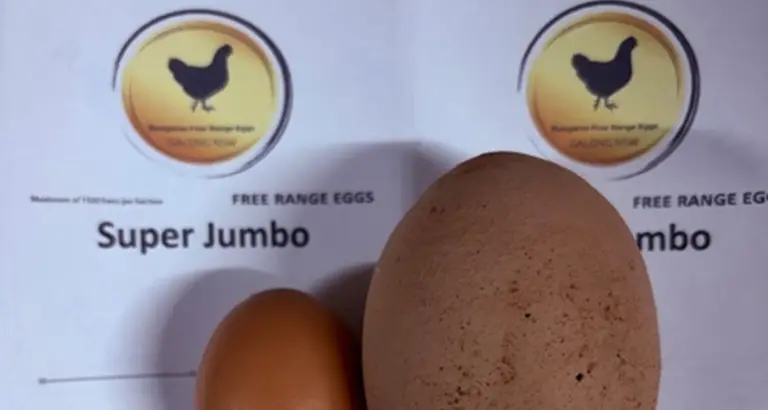 Cracking another record