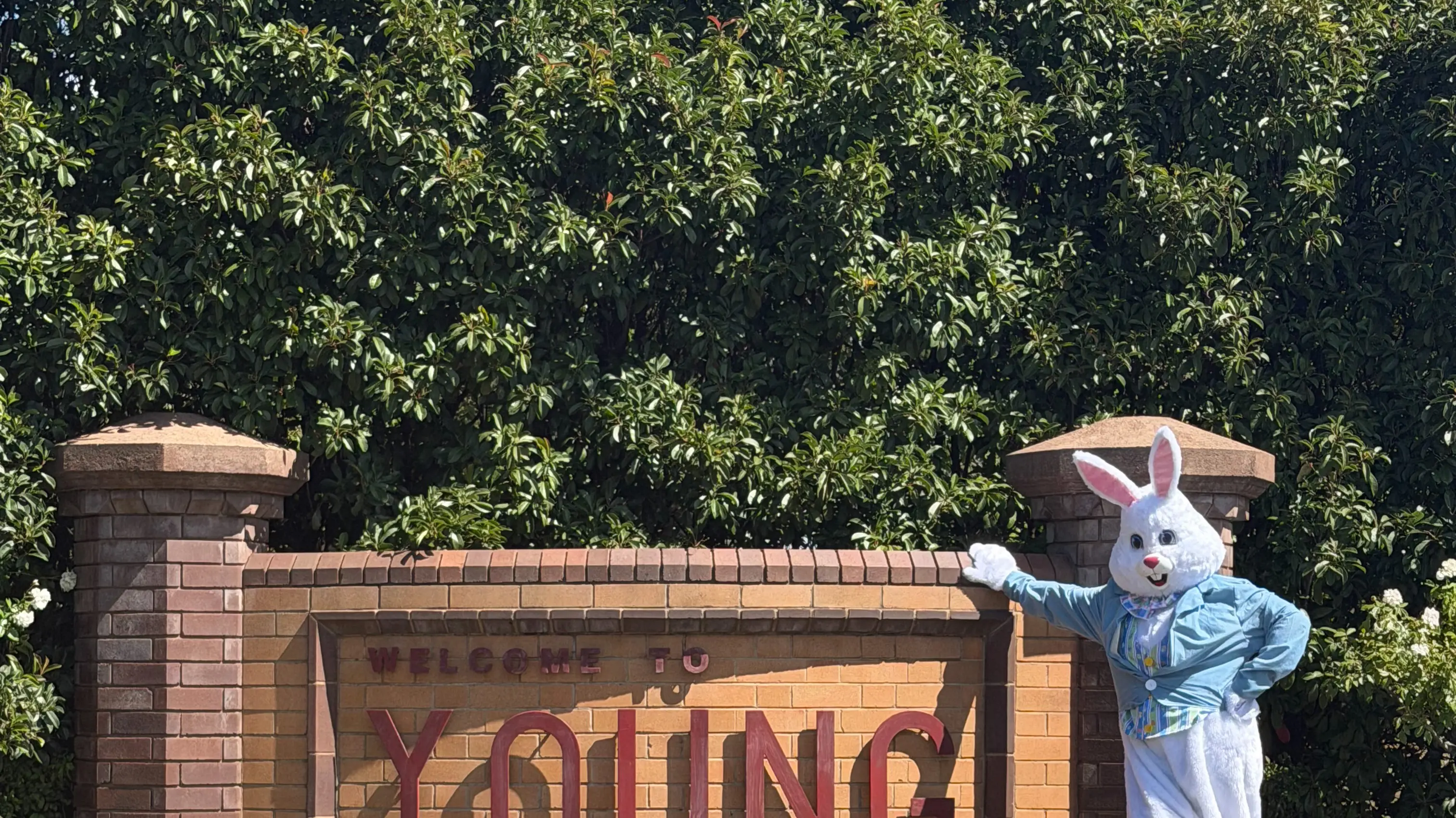 Local businesses bring Easter cheer to Young main street