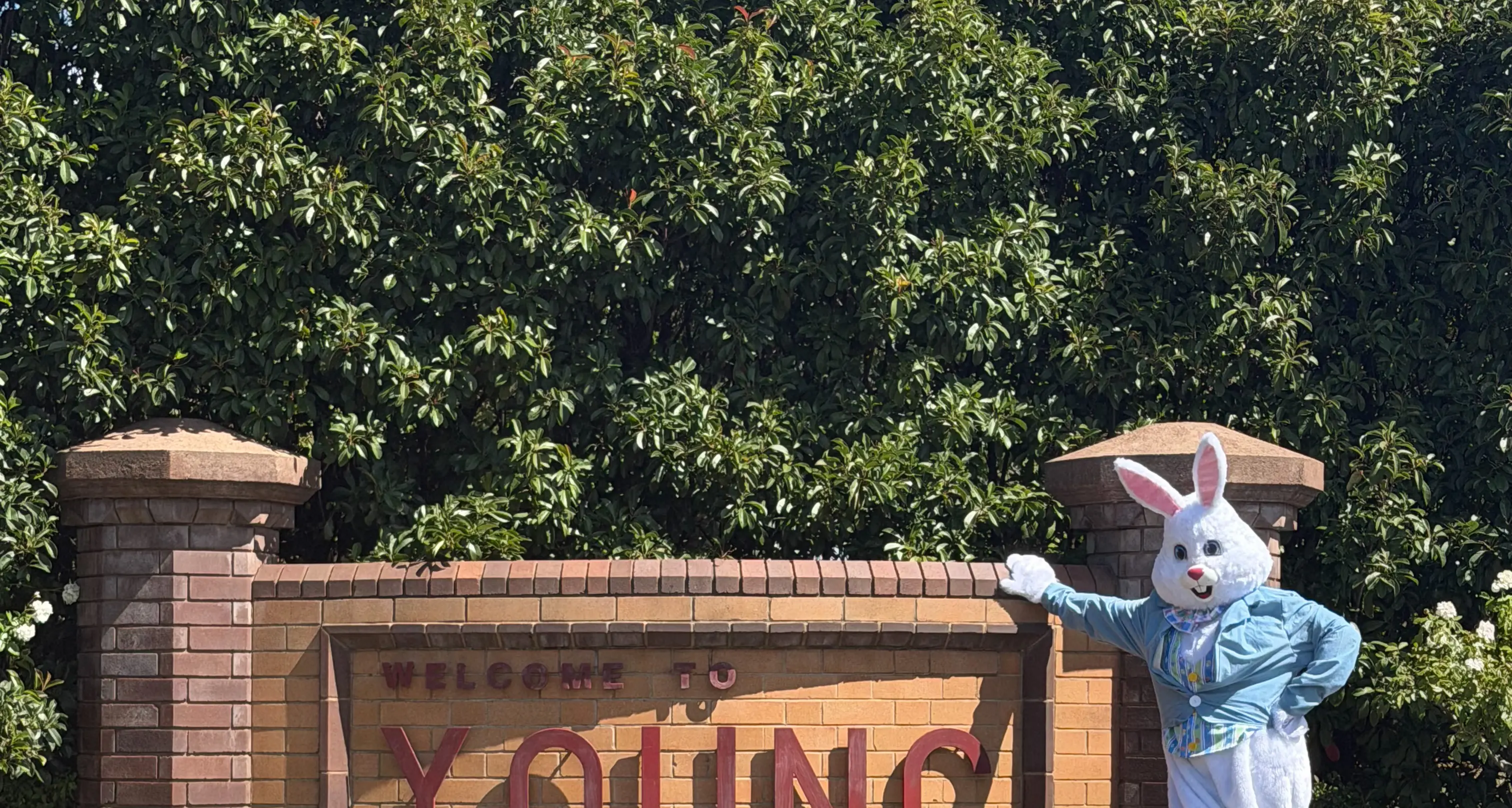 Local businesses bring Easter cheer to Young main street