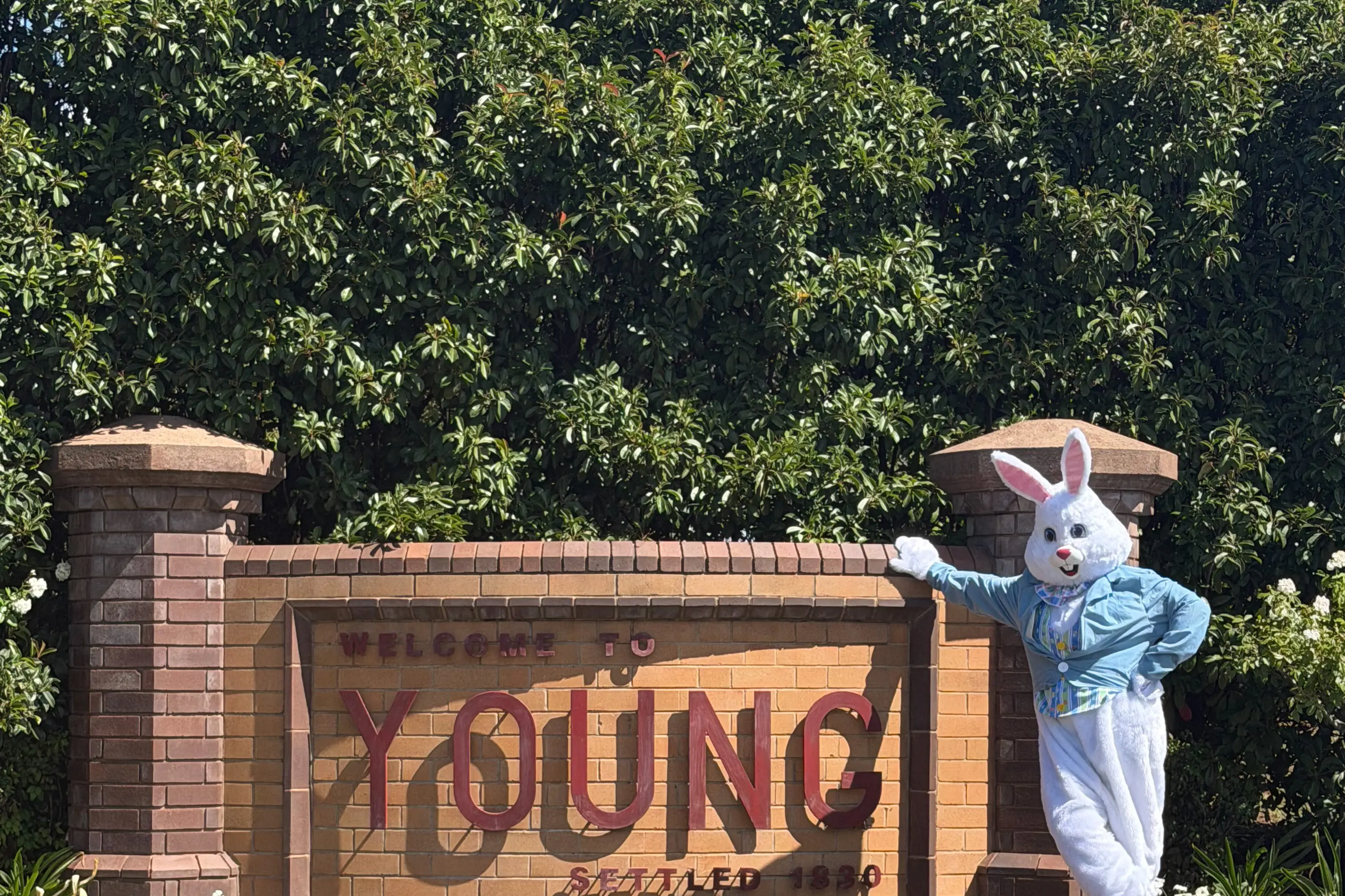 <p>Easter Bunny arrives in Young.</p>\\n