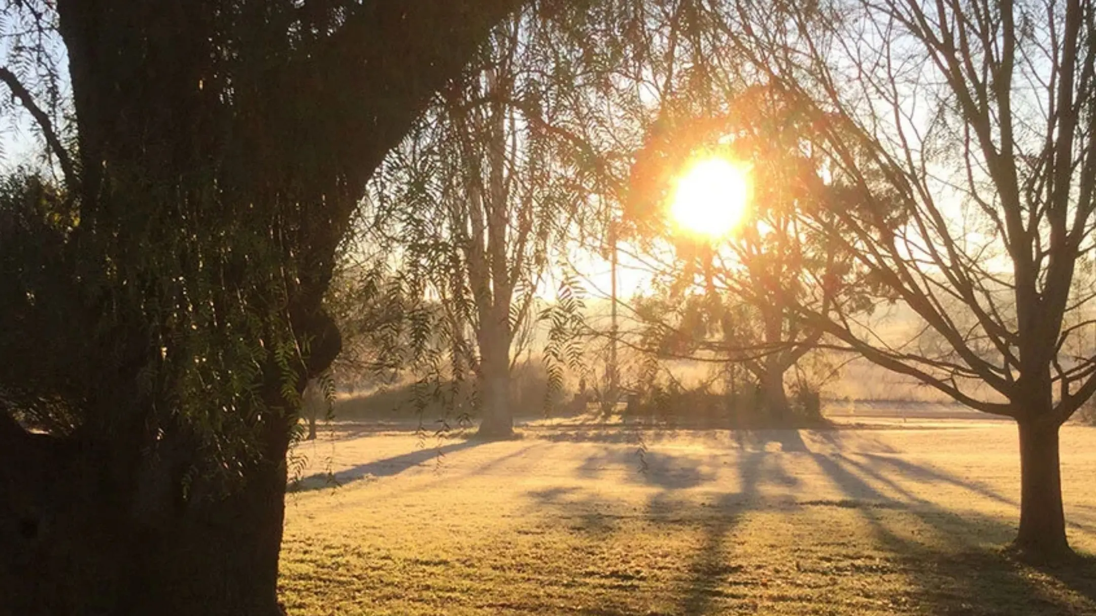 Gala dinner to support life-changing work of The Farm in Galong