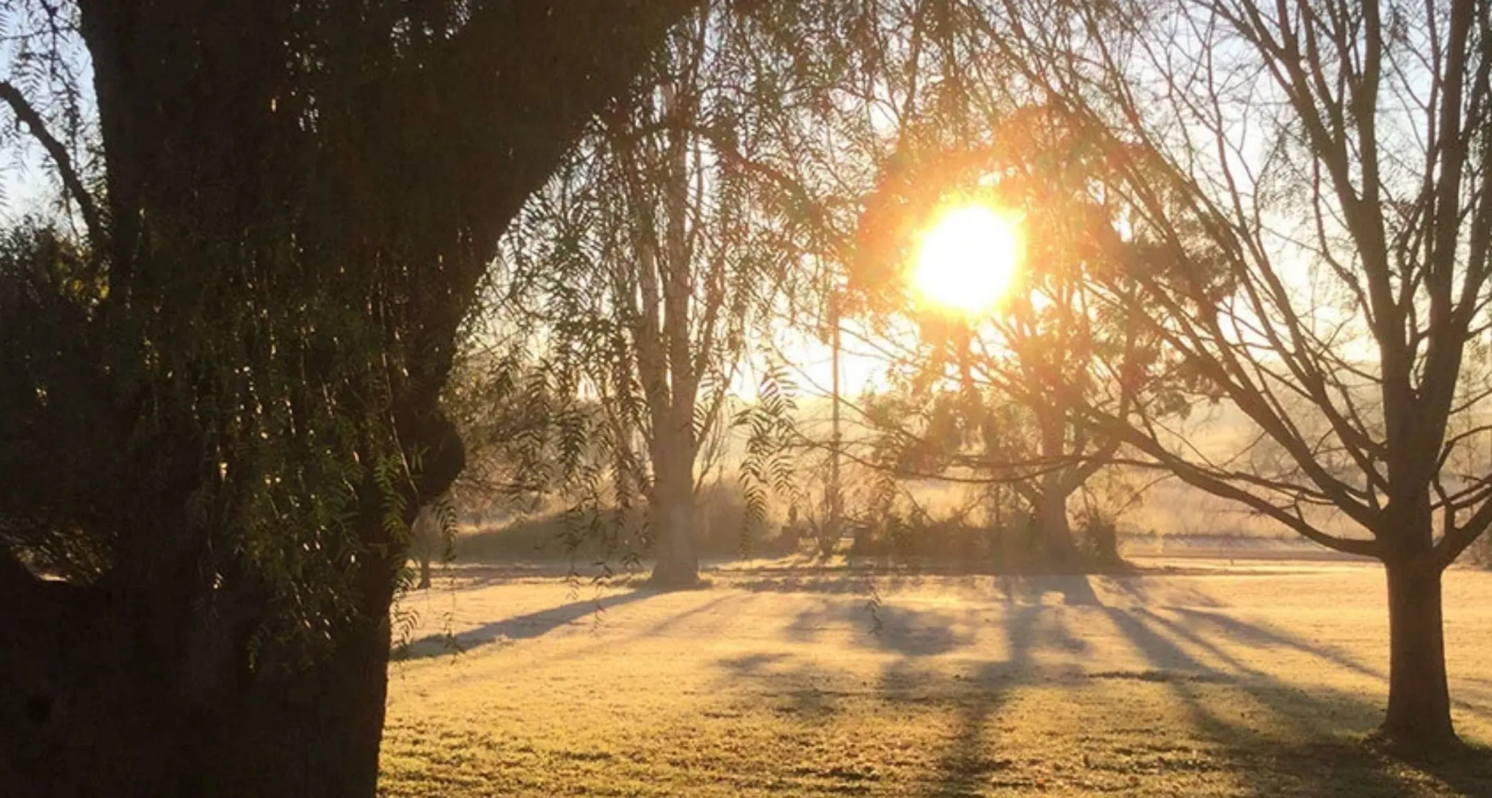 Gala dinner to support life-changing work of The Farm in Galong