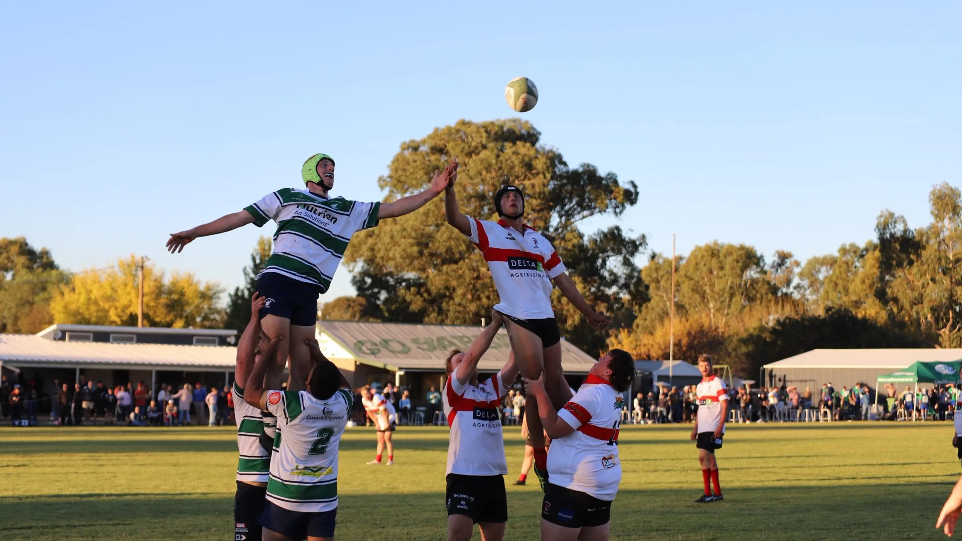 Young celebrates a big day of footy