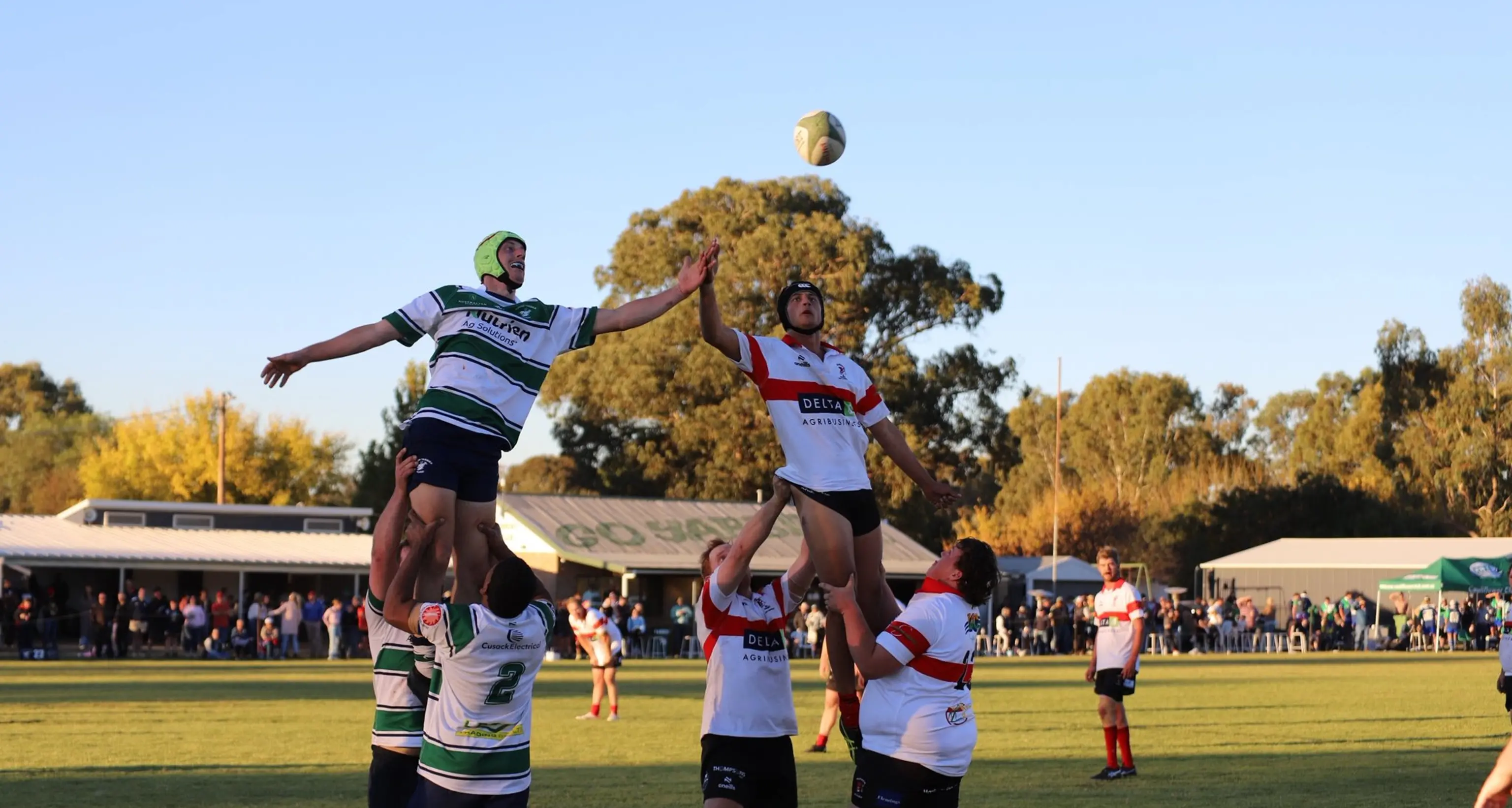 Young celebrates a big day of footy