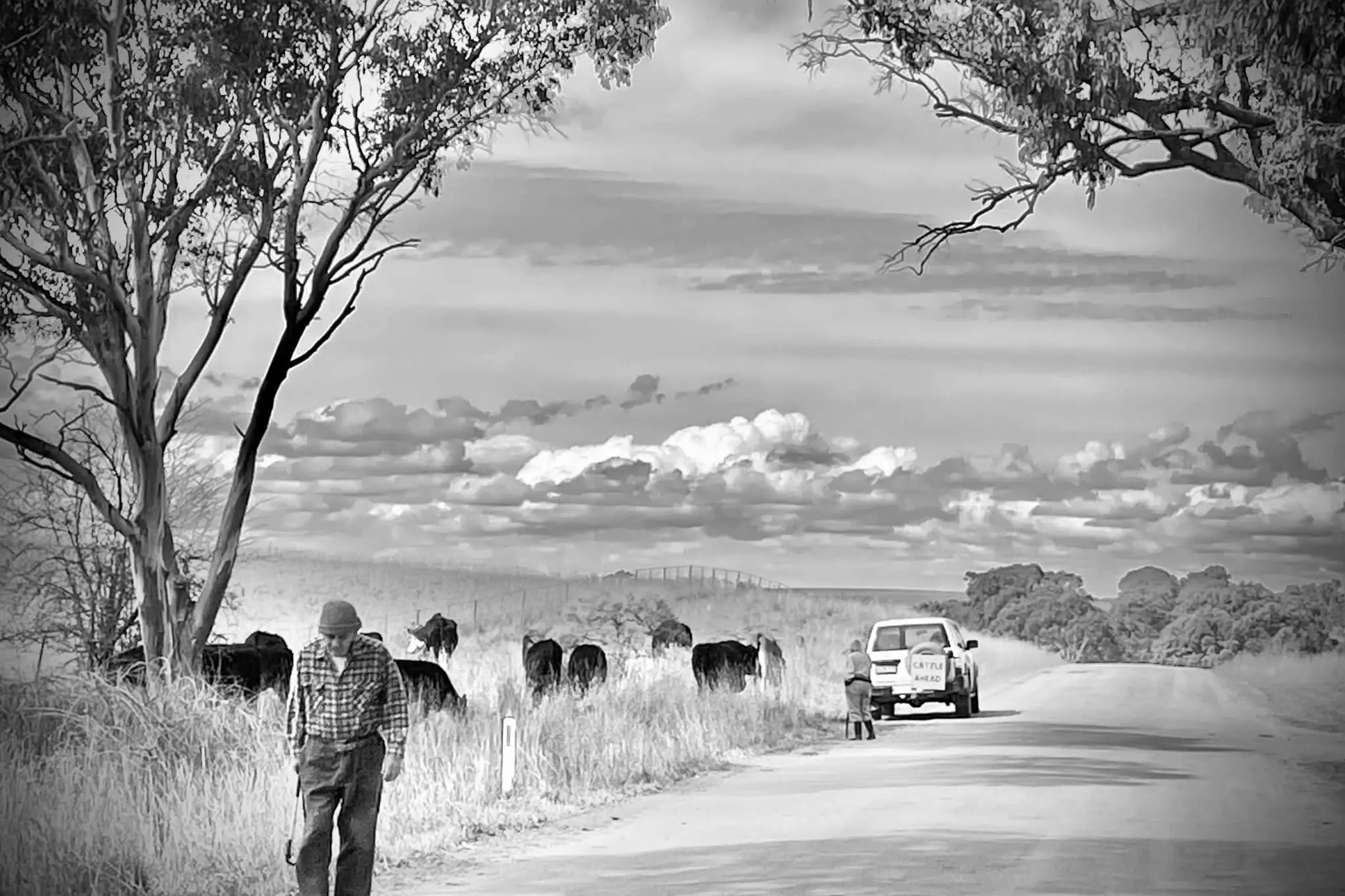 <p>Tammy McGaw\\'s photo has claimed the top price in the the 2026 We Thrive Photo competition. PHOTO: Supplied</p>\\n