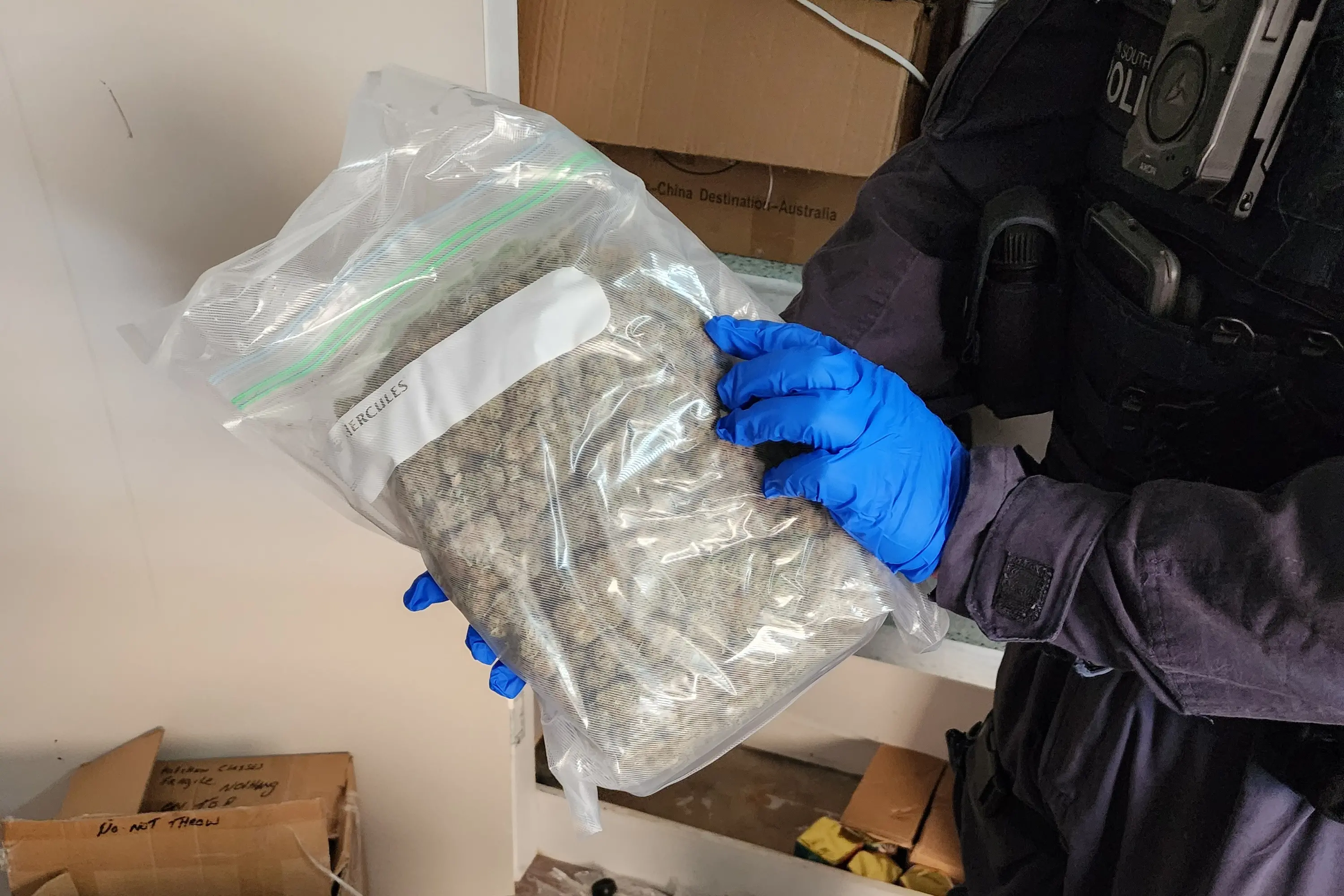 <p>During a search of a property in Young police allegedly located 1.5kg of cannabis in a false bottom of a pantry cupboard. PHOTO: Supplied</p>\\n