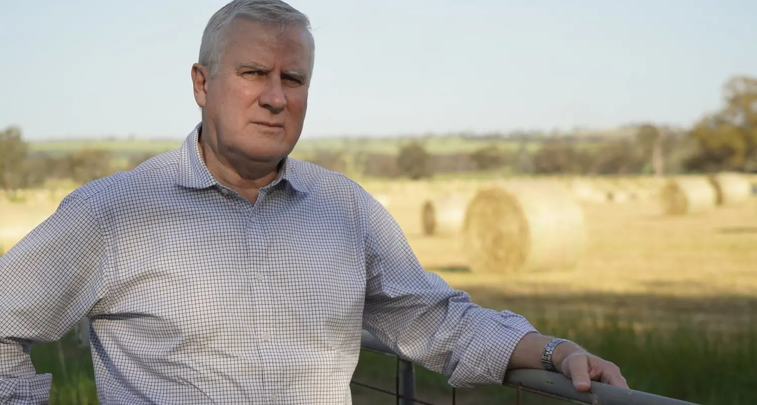McCormack calls for better, clearer system