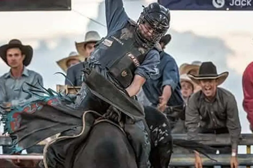 <p>Blake Cross Riding bull named Opiod at Cootamundra. PHOTO: Supplied by Troy Cross</p>\\n