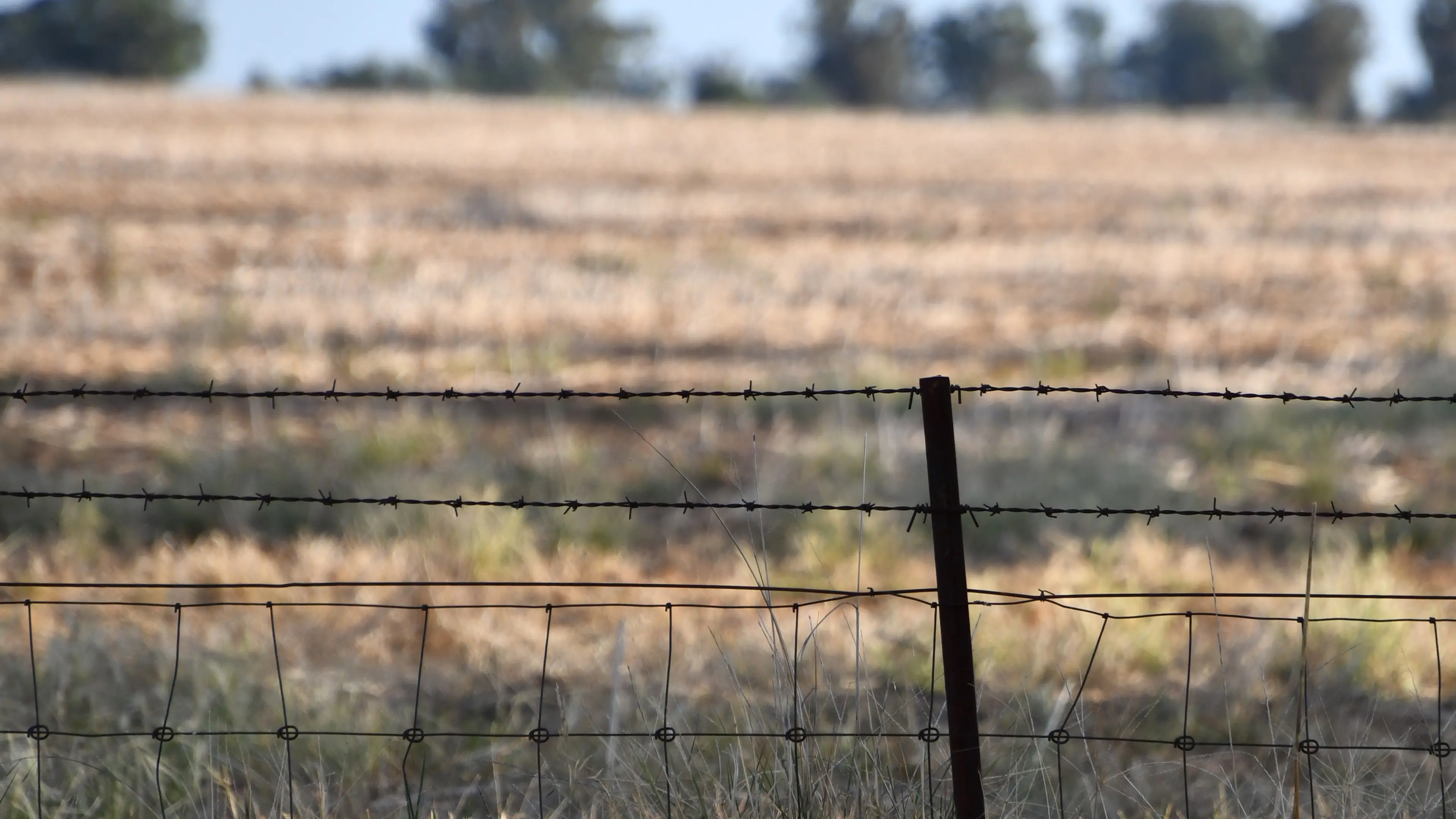 Man faces 55 illegal hunting charges