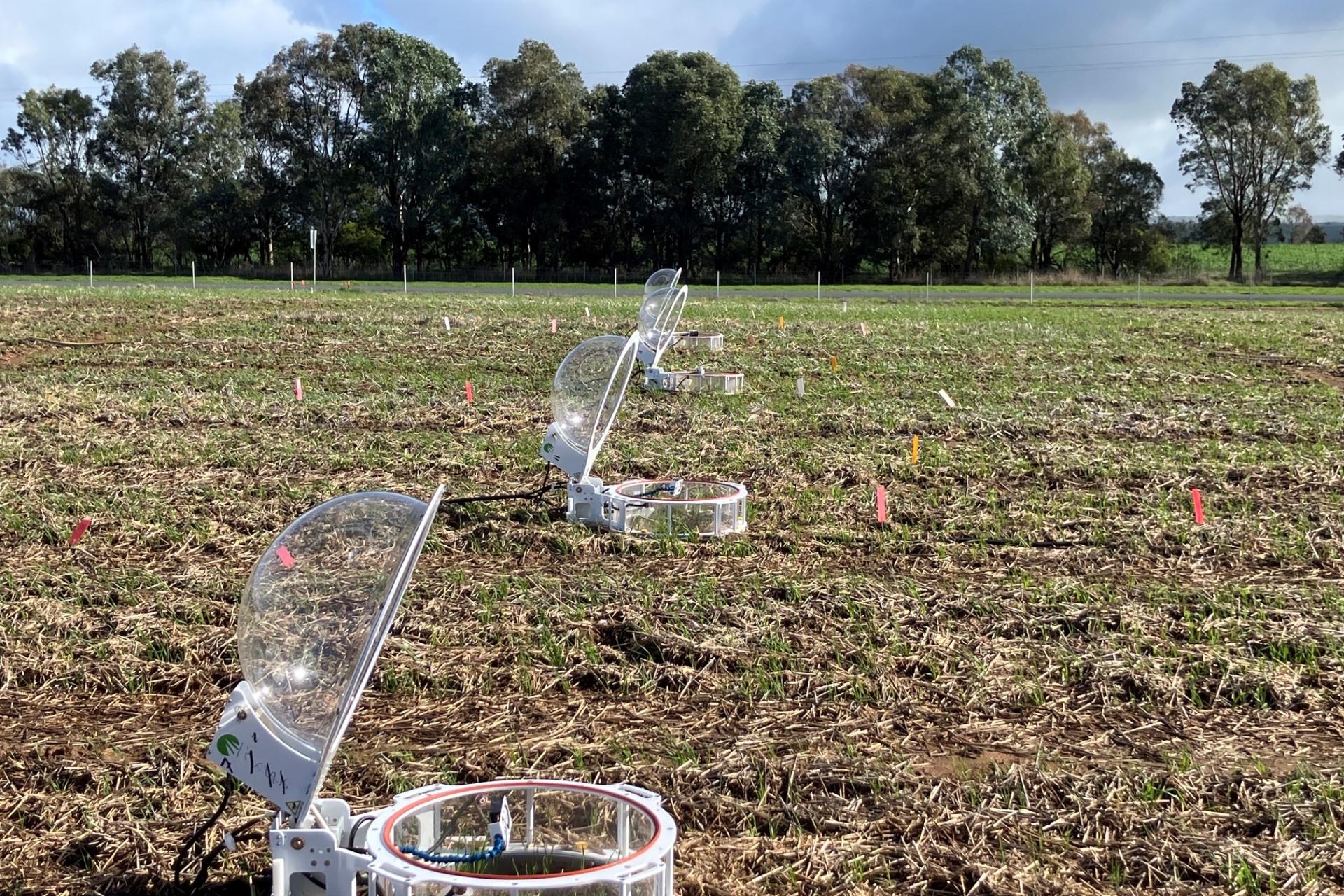 Boorowa research station opens its gates as trials expand