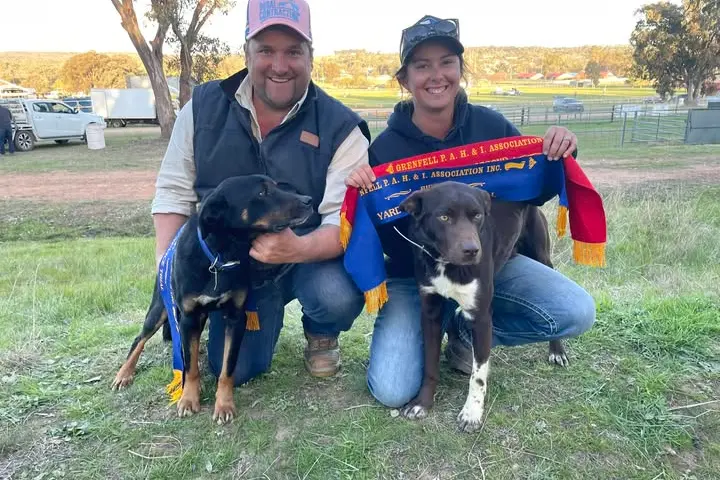 From pub to paddock, Caragabal's first yard dog trial