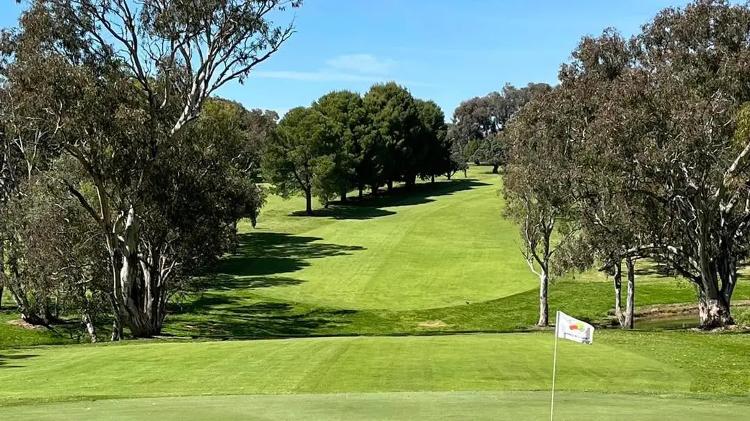 Golfers brave cold conditions on course