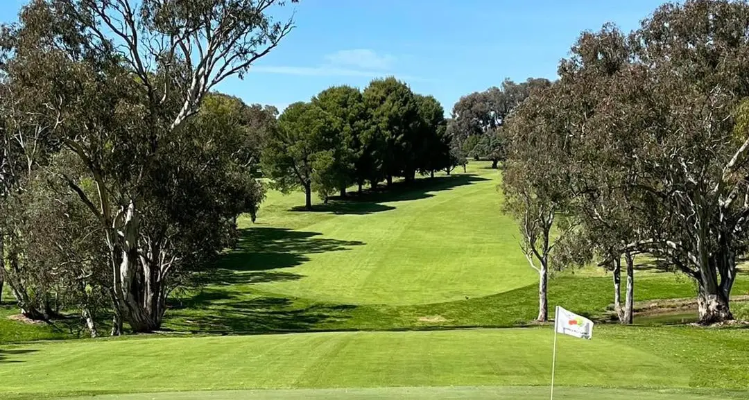 Golfers brave cold conditions on course