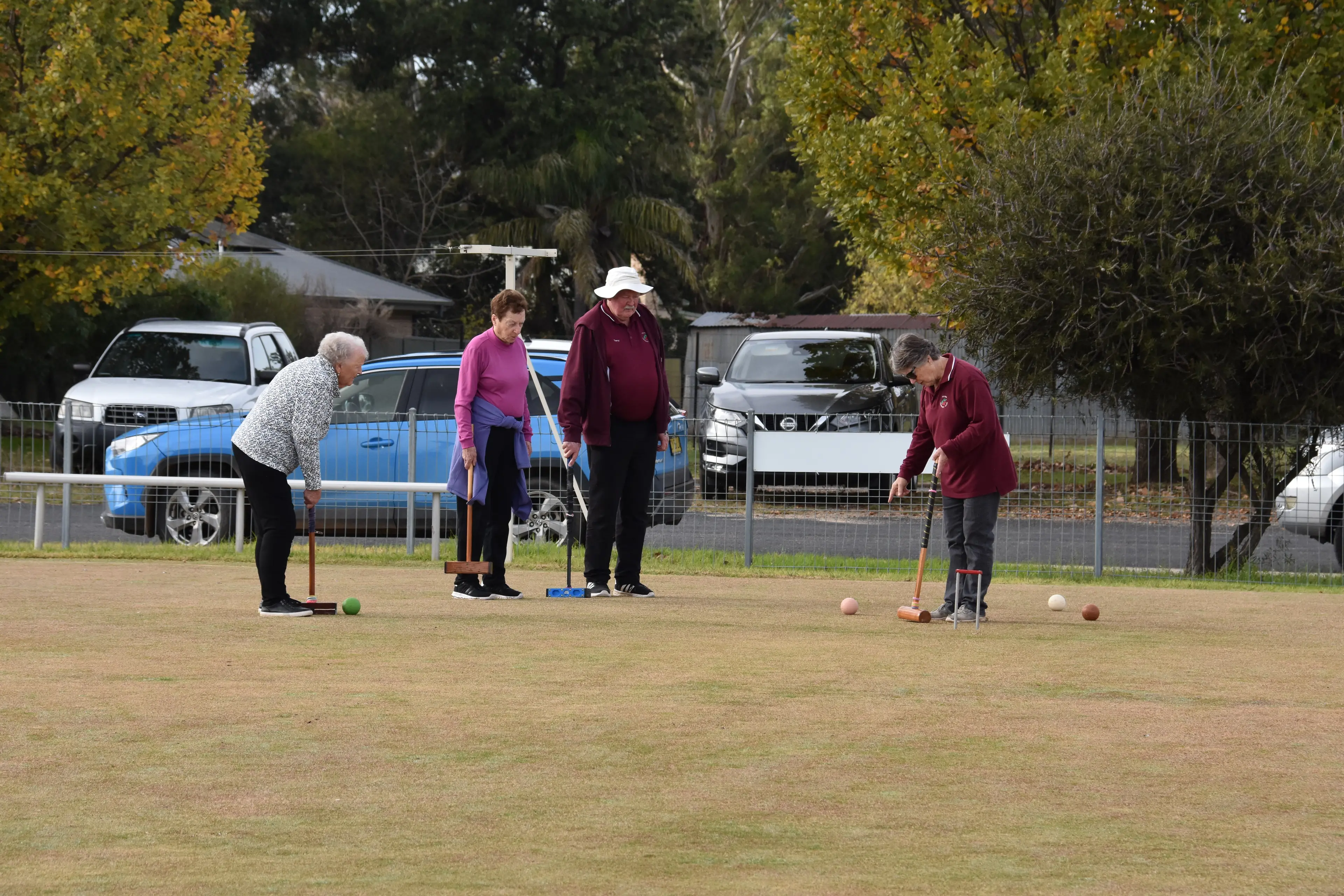 <p>The Young Croquet Club had a great turnout of members at its AGM with plenty up for items up for discussion. PHOTO: File</p>\\n