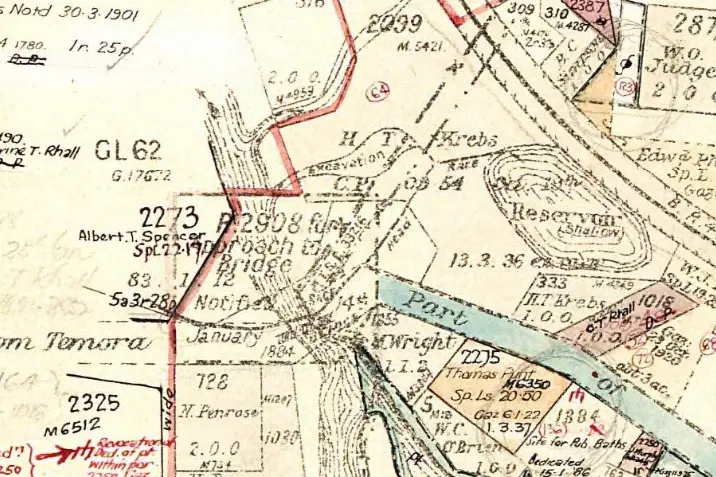 <p>Section of Map of the Environs of Young, Parish of Young, NSW 3rd Edition, 1921</p>\\n