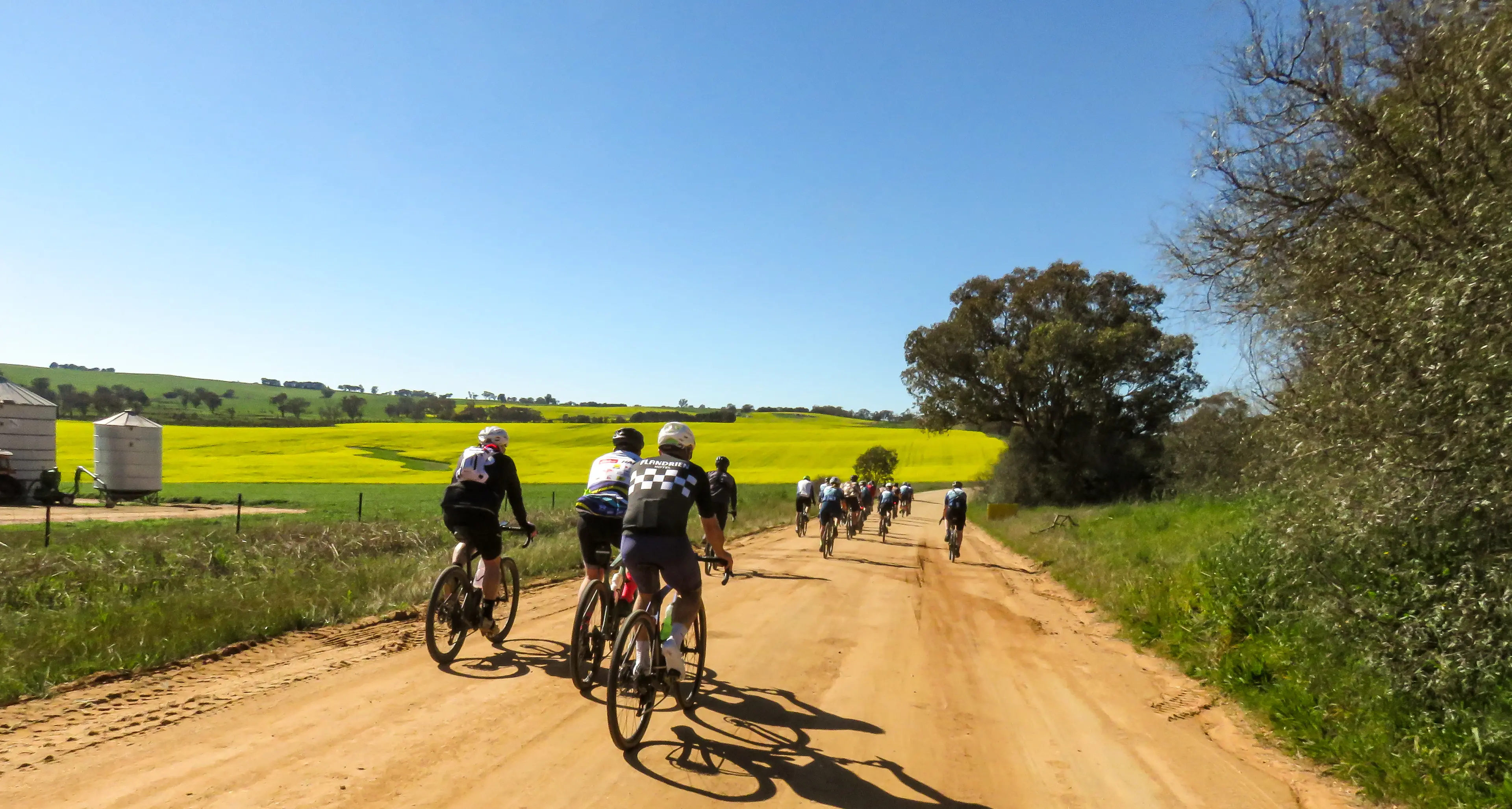 Cyclists enjoy scenery in Canola Classic ride