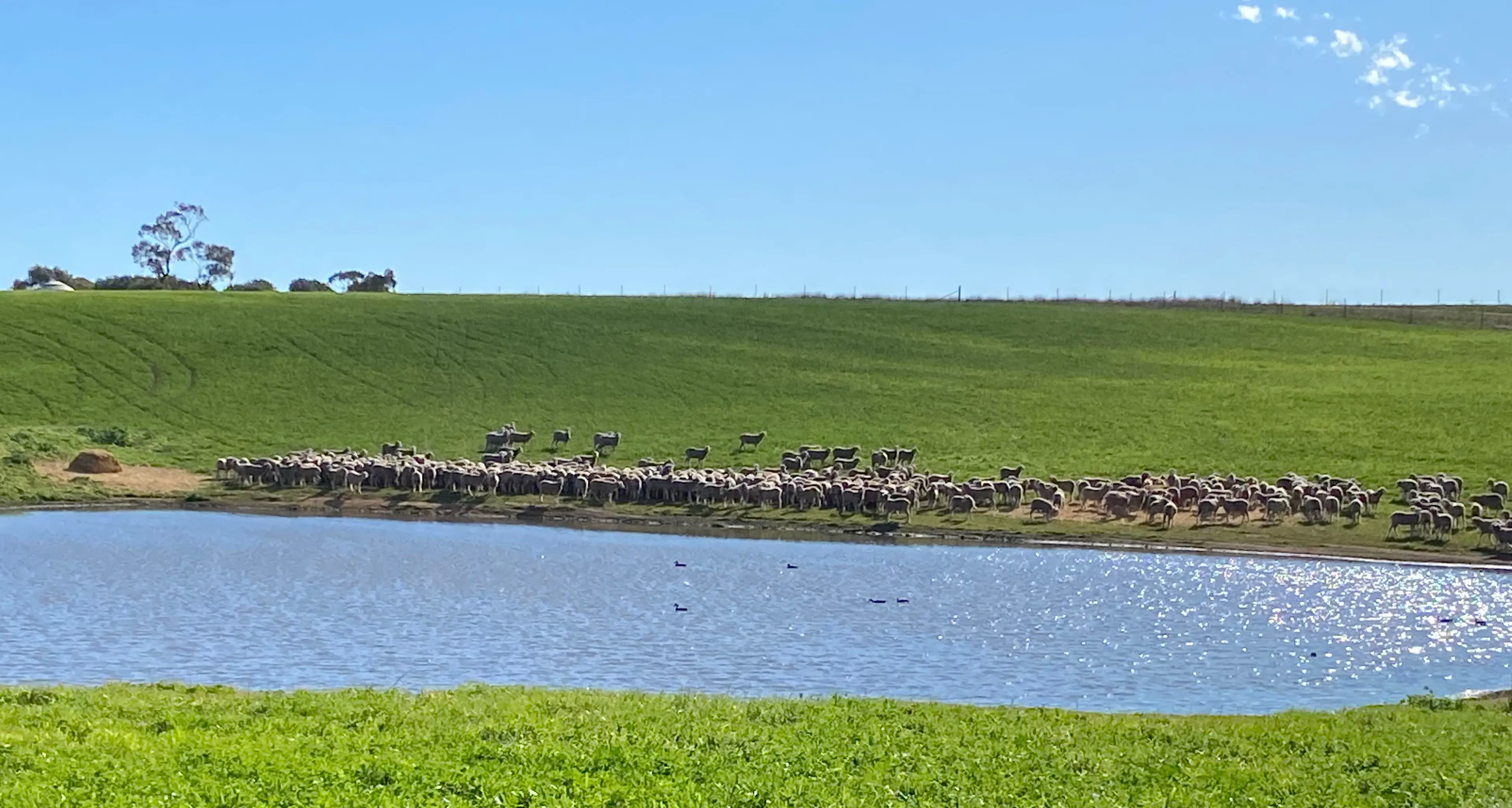 Bright outlook for spring and summer months