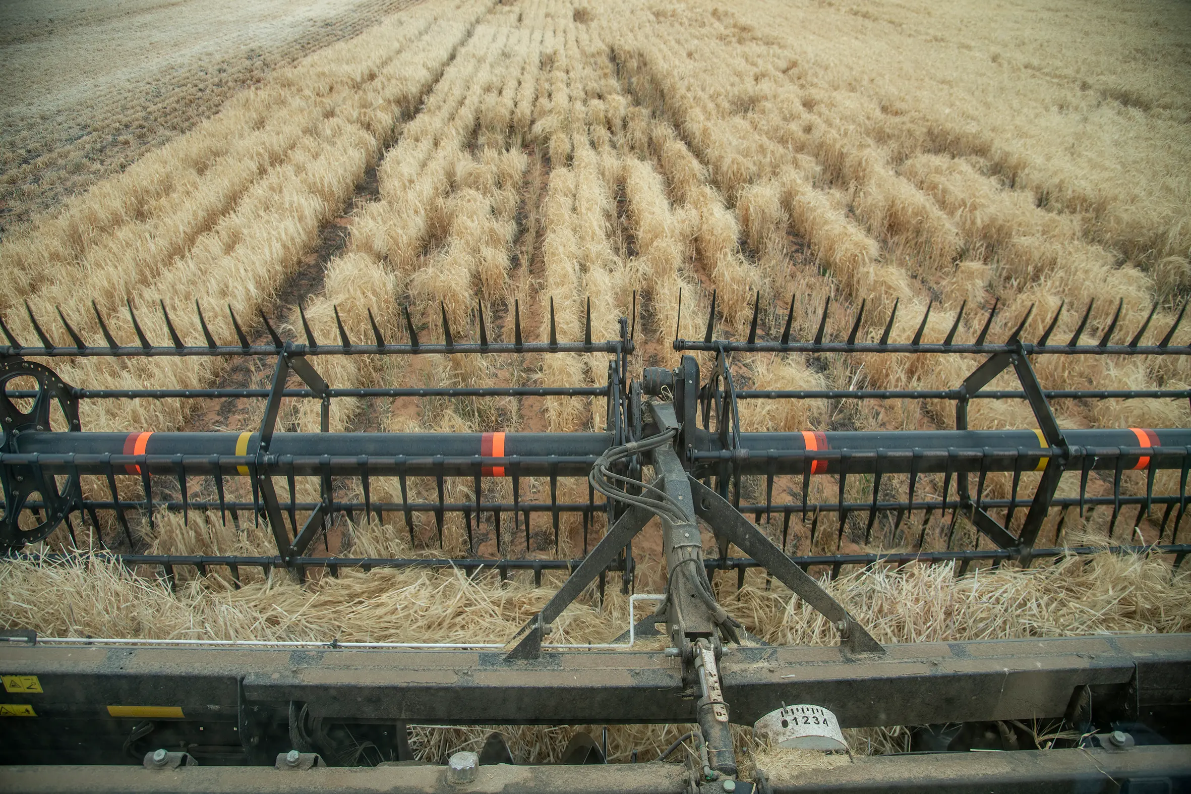 <p>The National Farmers Federation have spoken out against the changes. PHOTO: Noel Fisher</p>\\n
