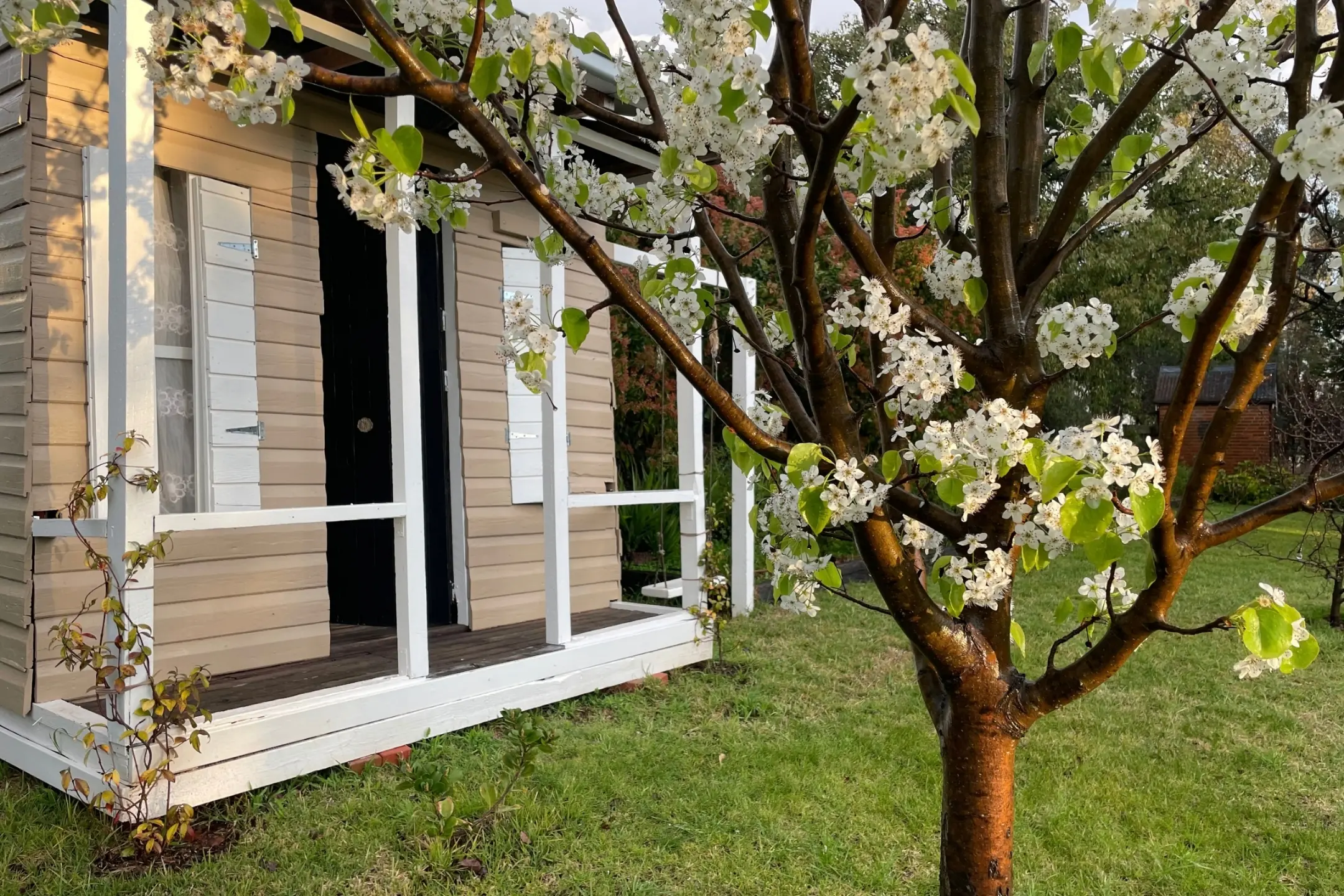 <p>Spring blossom frames historic Cooringle Cottage at Nubba, one of five private gardens opening for the inaugural Nubba Open Gardens fundraiser on Sunday, October 11. PHOTOS: Supplied</p>\\n